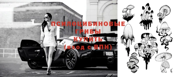 кокс Баксан